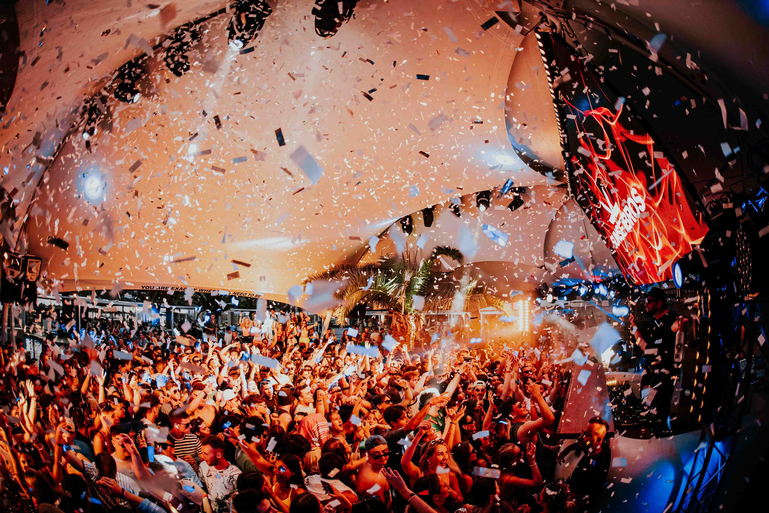 Confetti Cannon — Events photography by Cut By Jack